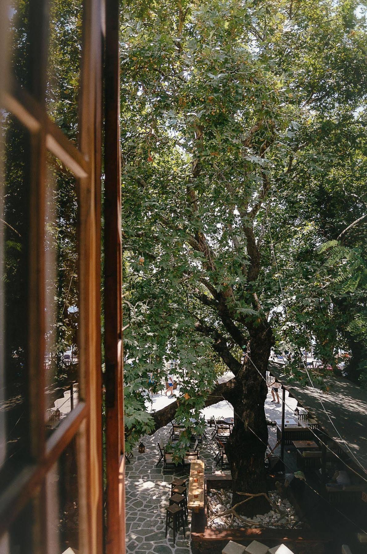 Naftilos Guest House カラ・ネラ エクステリア 写真